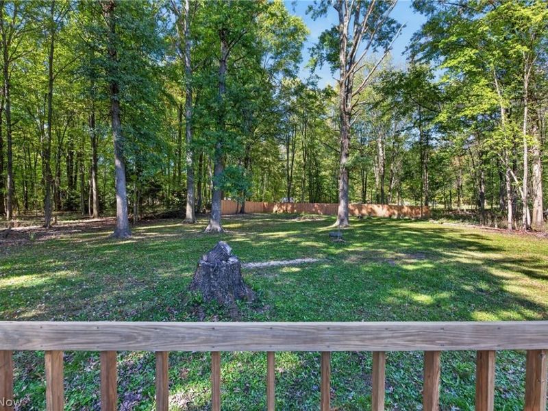 10533 Jones Rd , Diamond, OH 44412 Photo 15