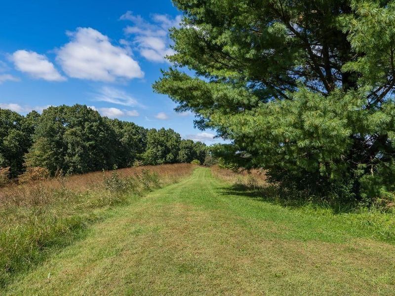 24603 Potter Ridge Road, Creola, OH 45622 Photo 79