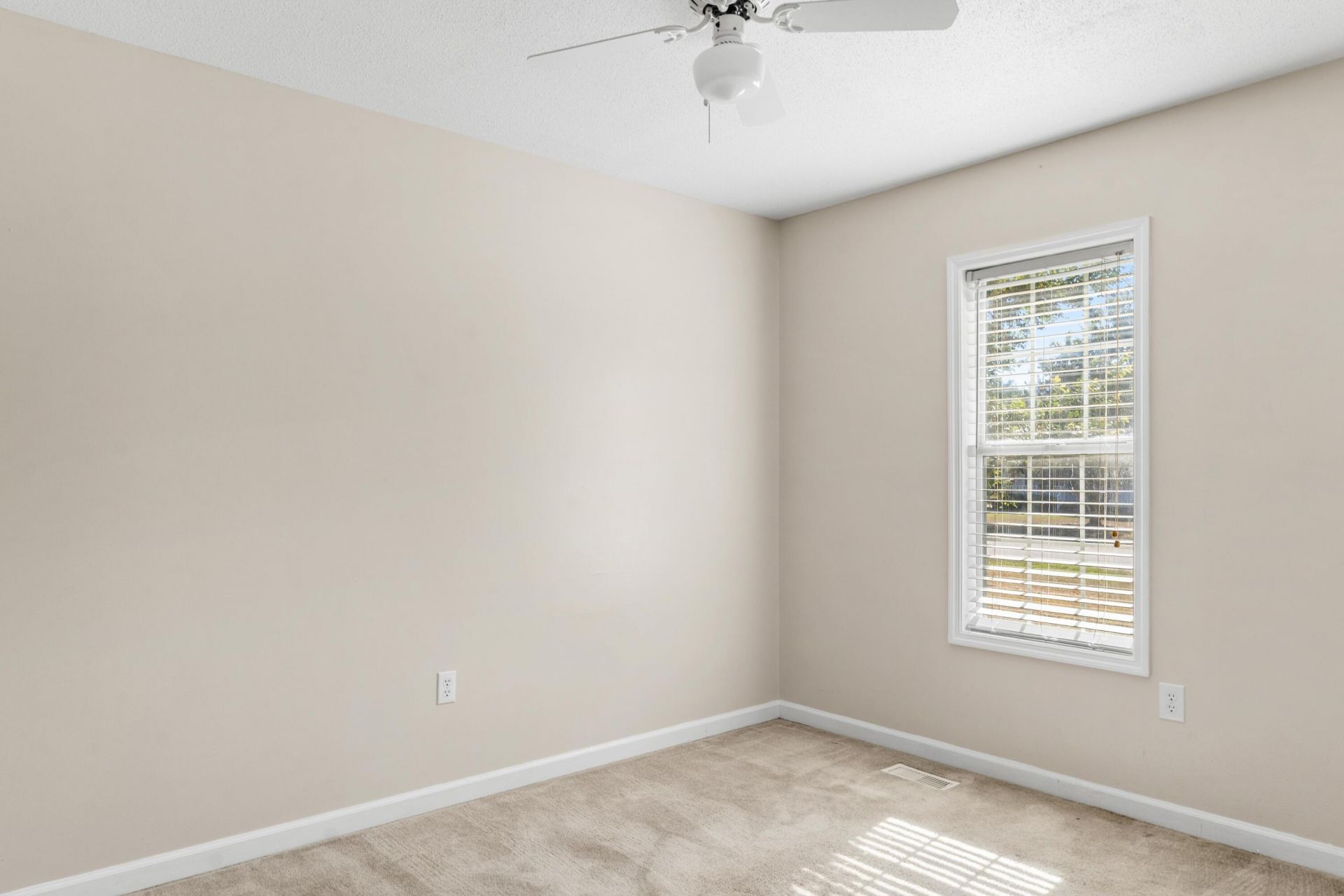 126 Monterey Trail Photo 12