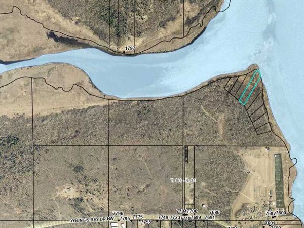 040 Youngs Bay Drive, Angle Inlet, MN 56711