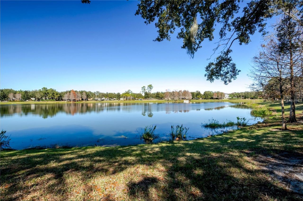 8168 Boat Hook Loop , Unit 302, Windermere, FL 34786 Photo