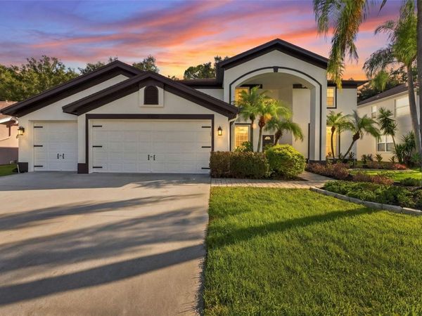 10102 VISTA POINTE DR , TAMPA, FL 33635