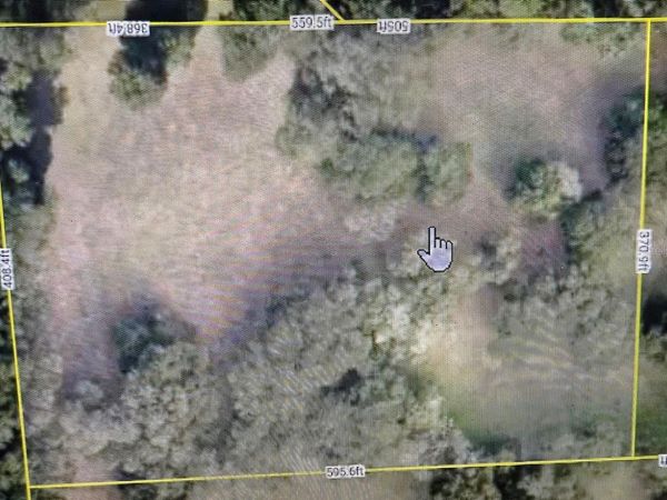 SENESE ROAD , SORRENTO, FL 32776