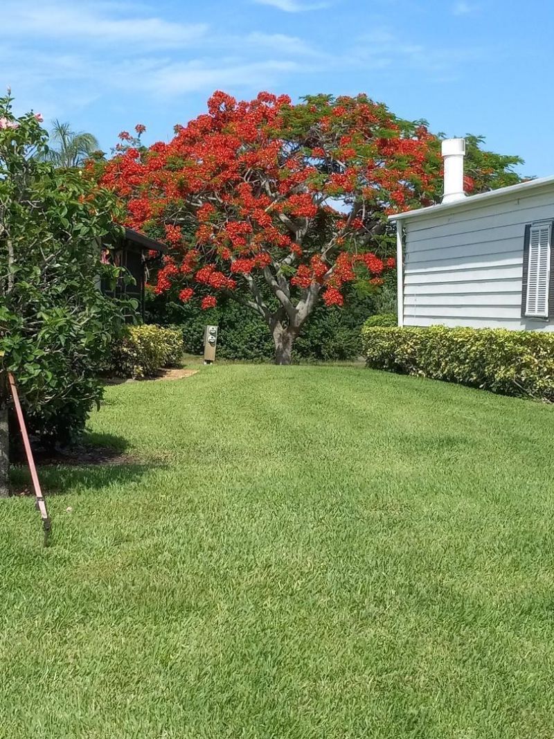 7701 SE Shenandoah Drive, Hobe Sound, FL 33455 Photo