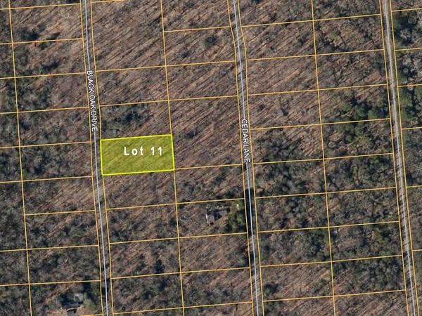 BLACK OAK DRIVE, OAKLAND, MD 21550