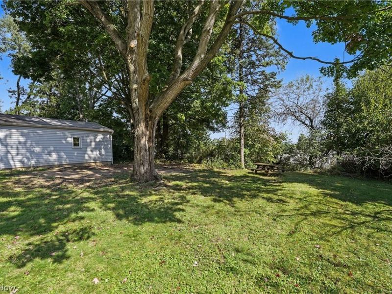 483 17th Street NW, Barberton, OH 44203 Photo 24