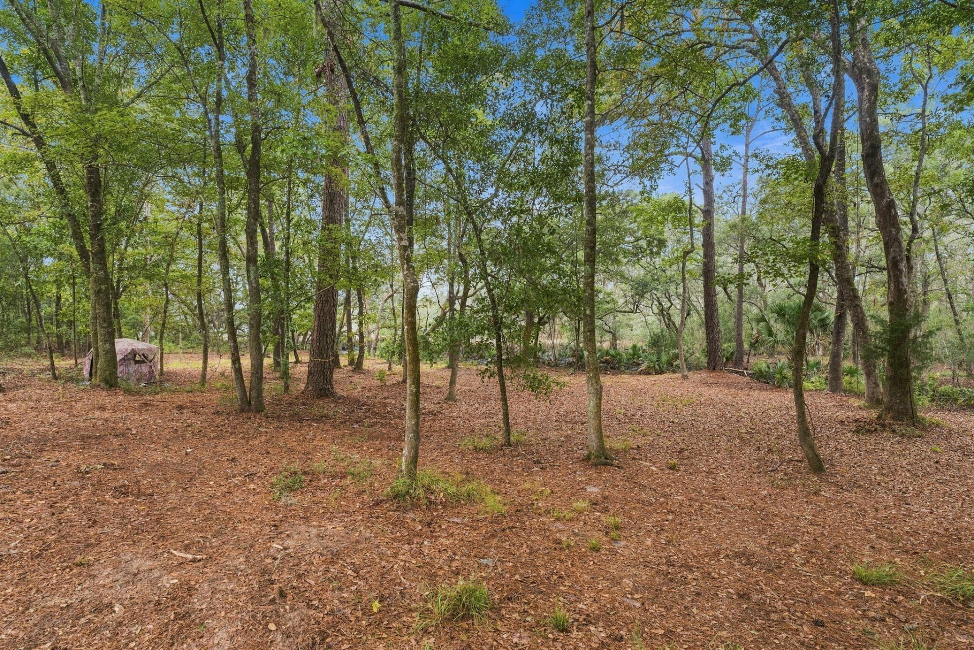 4071 Pine Creek Road Photo 35