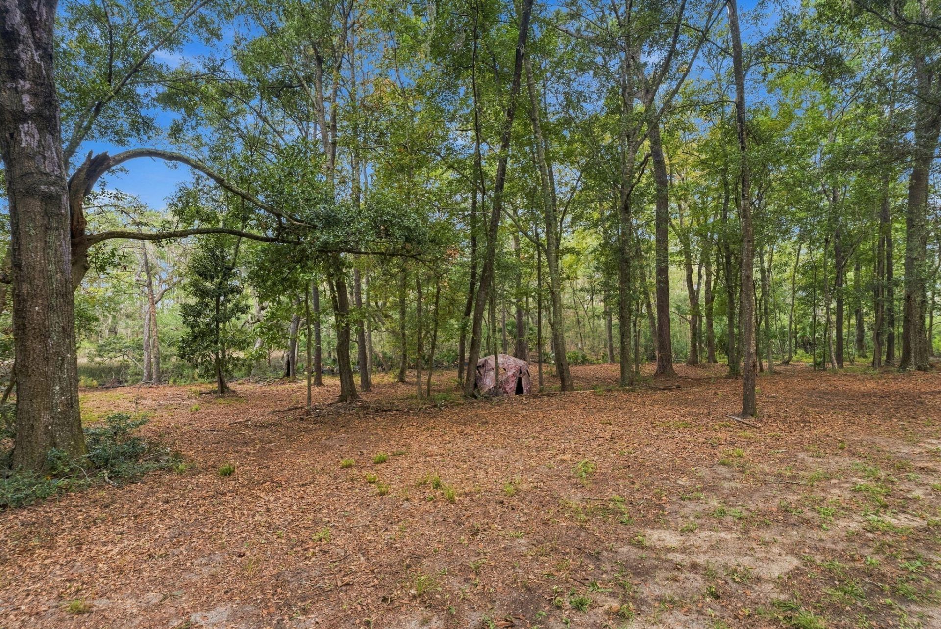 4071 Pine Creek Road Photo 36