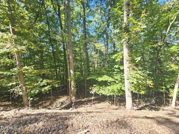 Lot 4 Skyline Drive, Bristol, TN 37620