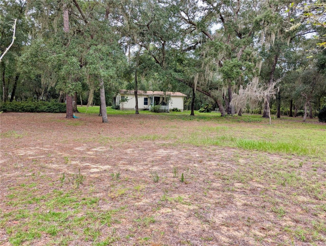 12180 NE 238th Terrace , Salt Springs, FL 32134 Photo