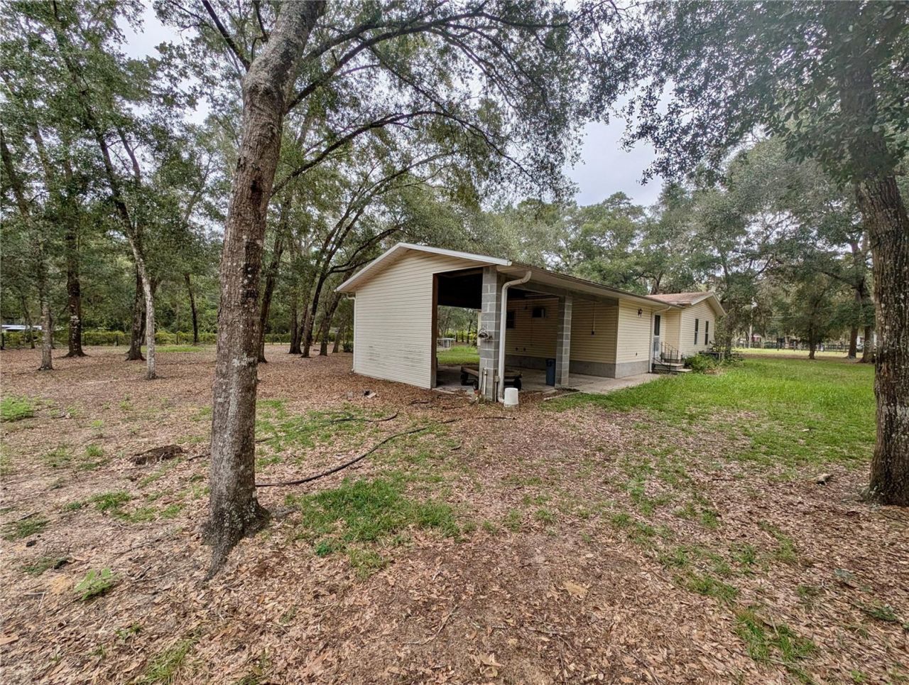 12180 NE 238th Terrace , Salt Springs, FL 32134 Photo