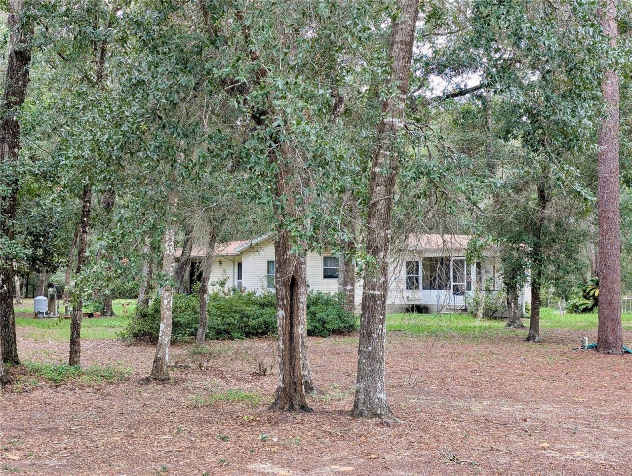 12180 NE 238th Terrace , Salt Springs, FL 32134 Photo