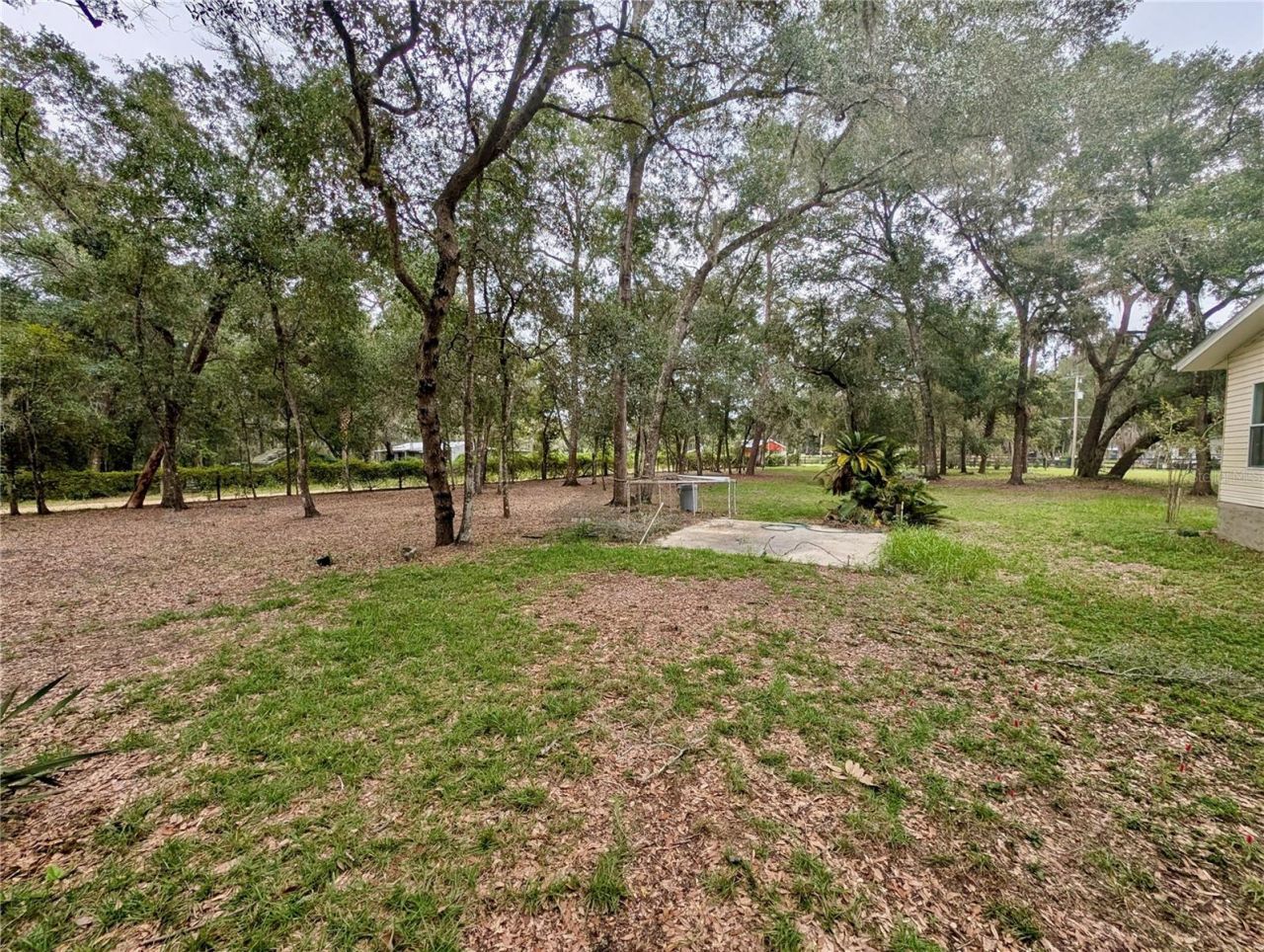 12180 NE 238th Terrace , Salt Springs, FL 32134 Photo