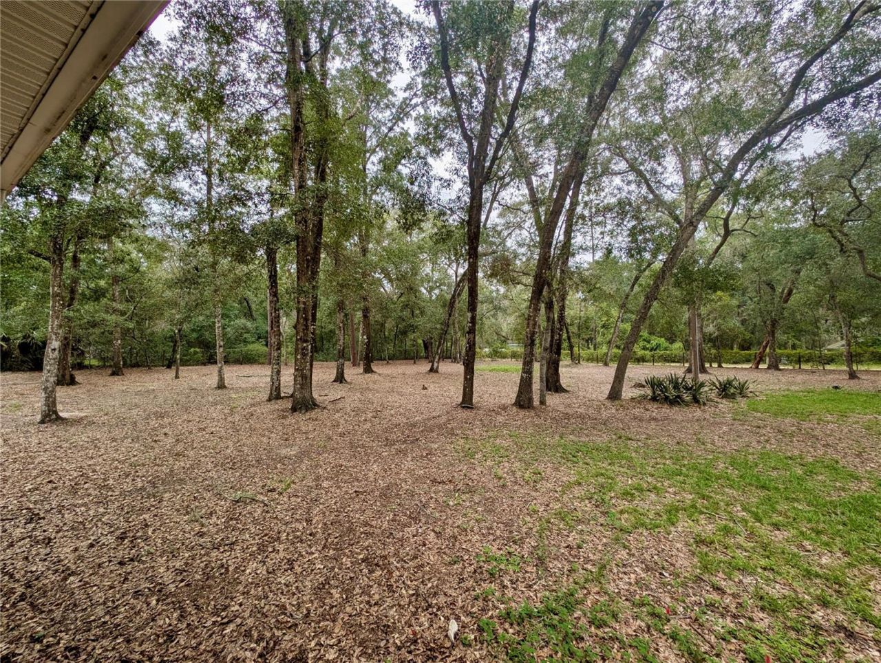 12180 NE 238th Terrace , Salt Springs, FL 32134 Photo