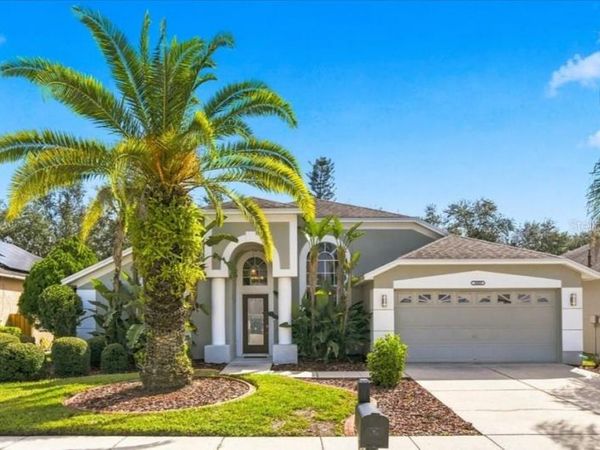 18009 PALM BREEZE DRIVE , TAMPA, FL 33647