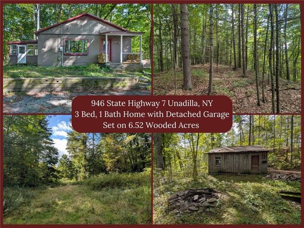 946 State Highway 7 , Unadilla, NY 13849