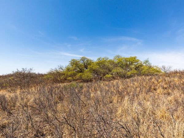 TBD CR 238, Post, TX 79356
