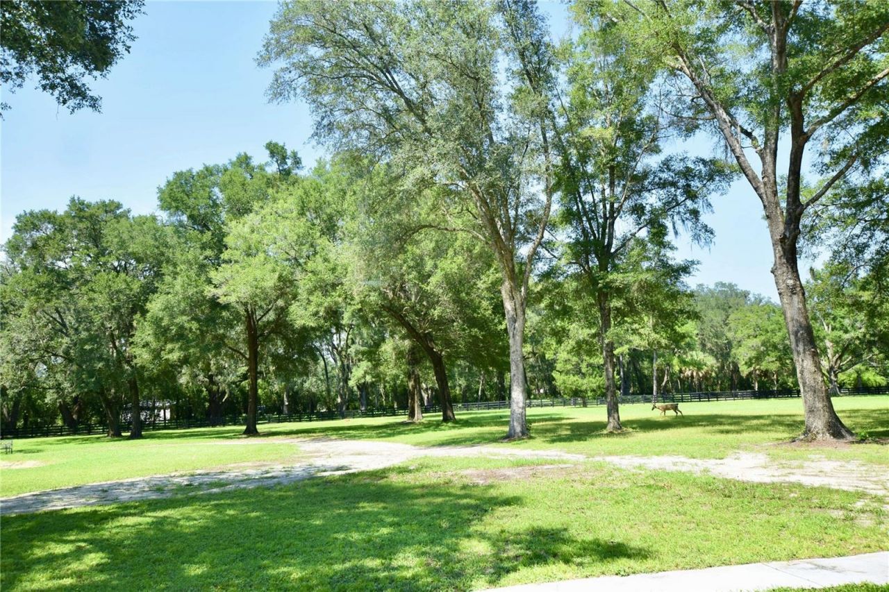 6012 NW 168th Street, Alachua, FL 32615 Photo