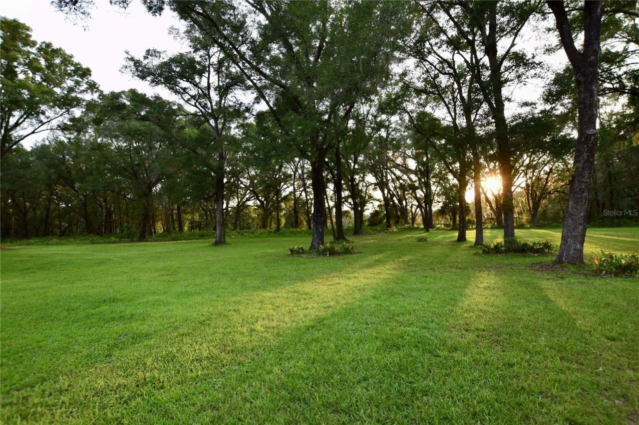 6012 NW 168th Street, Alachua, FL 32615 Photo