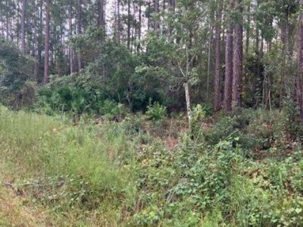 4515 MAHOGANY Boulevard, Bunnell, FL 32110