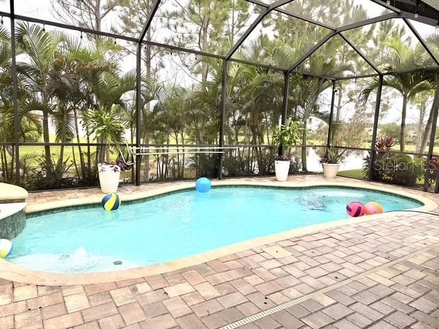 1907 Hidden Springs Drive, New Port Richey, FL 34655 Photo