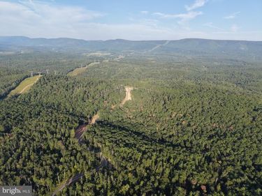 310.87+/- ACRES OFF LAUREL GROVE ROAD , WINCHESTER, VA 22602