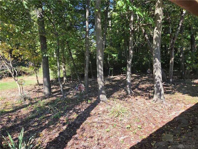5635 Calais Drive, Springfield, OH 45503 Photo 21