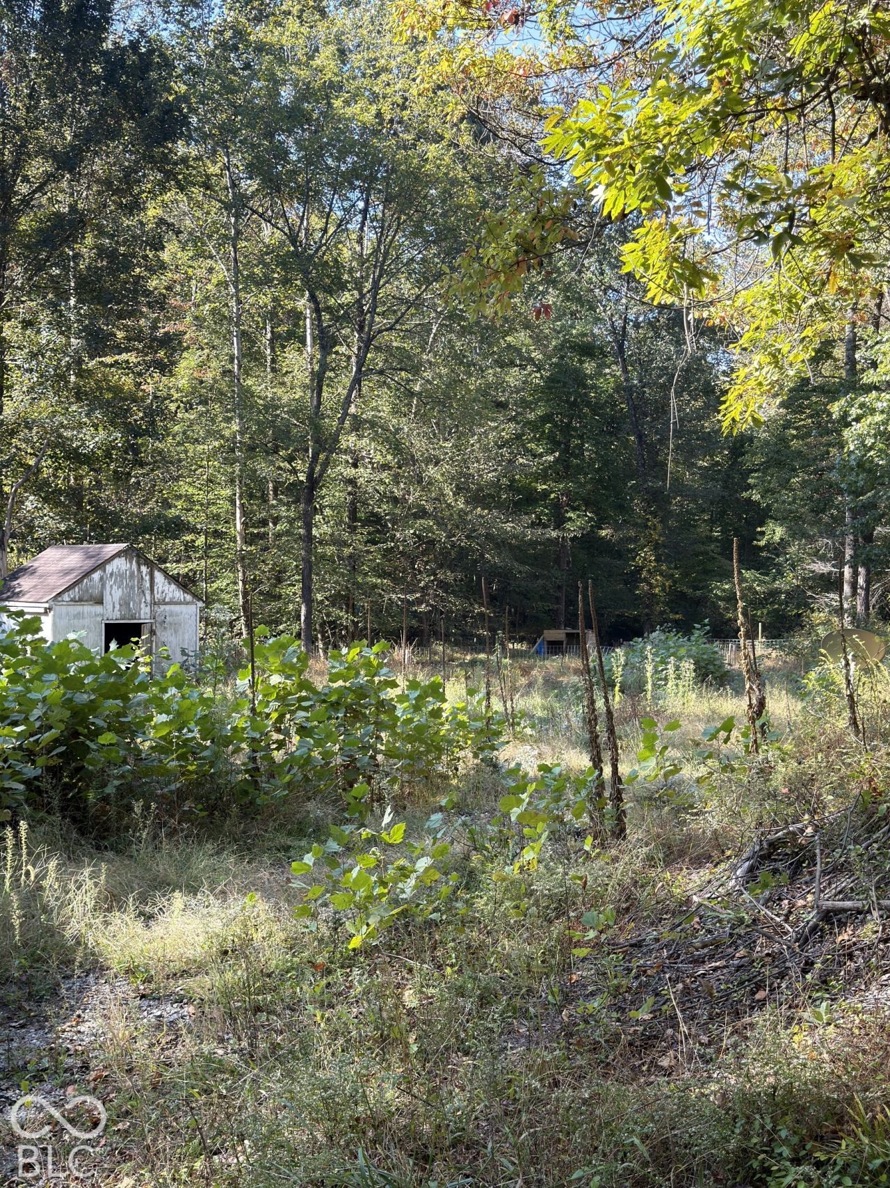 8942 Bean Blossom Road, Trafalgar, IN 46181 Main Photo