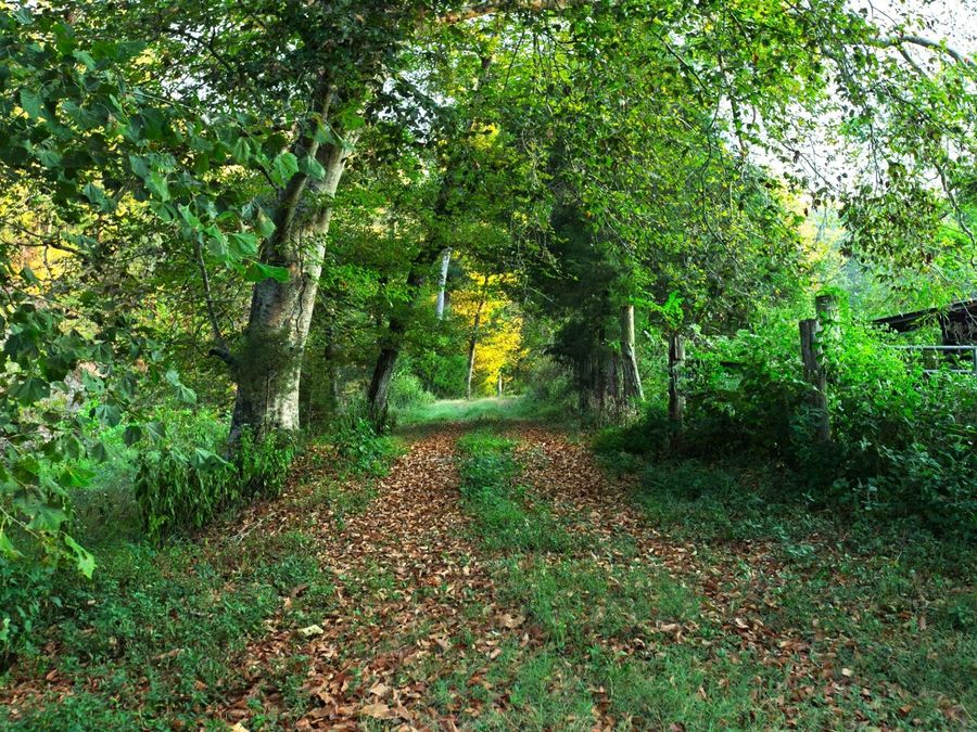 Property Image 71