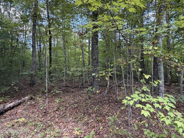 634 Horse Creek Rd , Jamestown, TN 38556