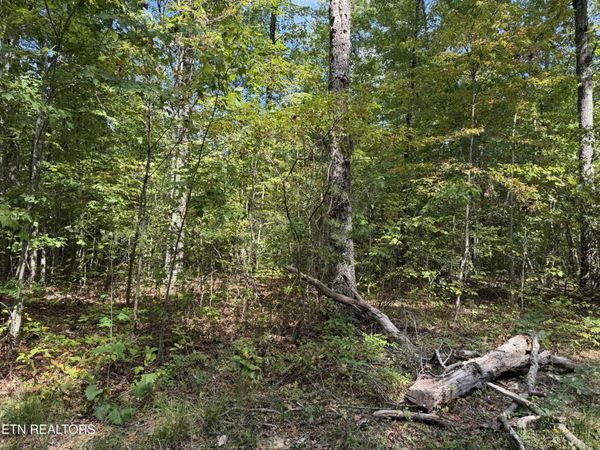 806 Horse Creek Rd , Jamestown, TN 38556