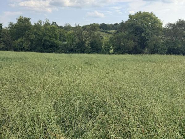 Lot 3 Springvale Road, Morristown, TN 37813