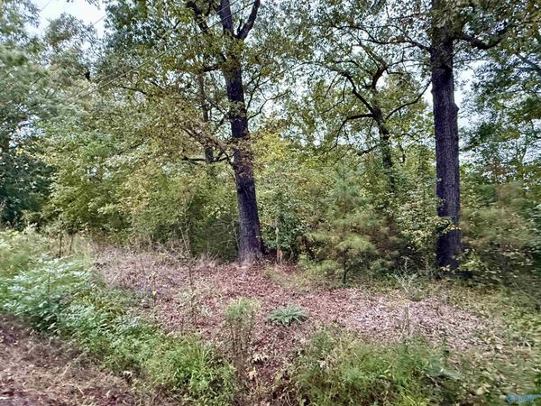 306 Brandon Street, Gadsden, AL 35901