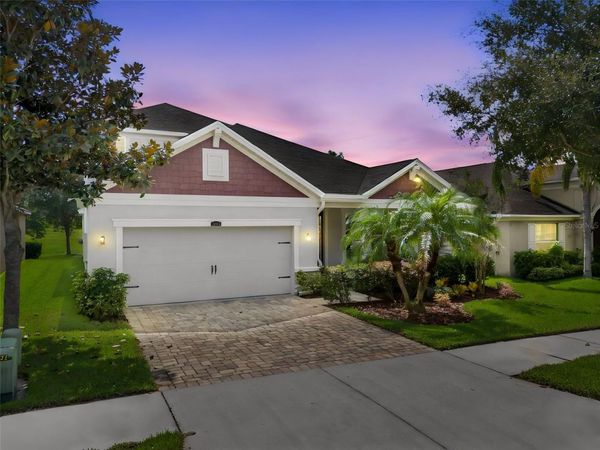 12319 EAGLE SWOOP PLACE , RIVERVIEW, FL 33579
