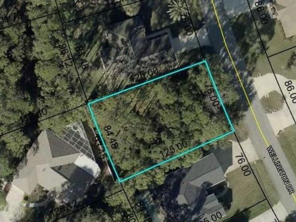 240 WELLINGTON DRIVE, PALM COAST, FL 32164
