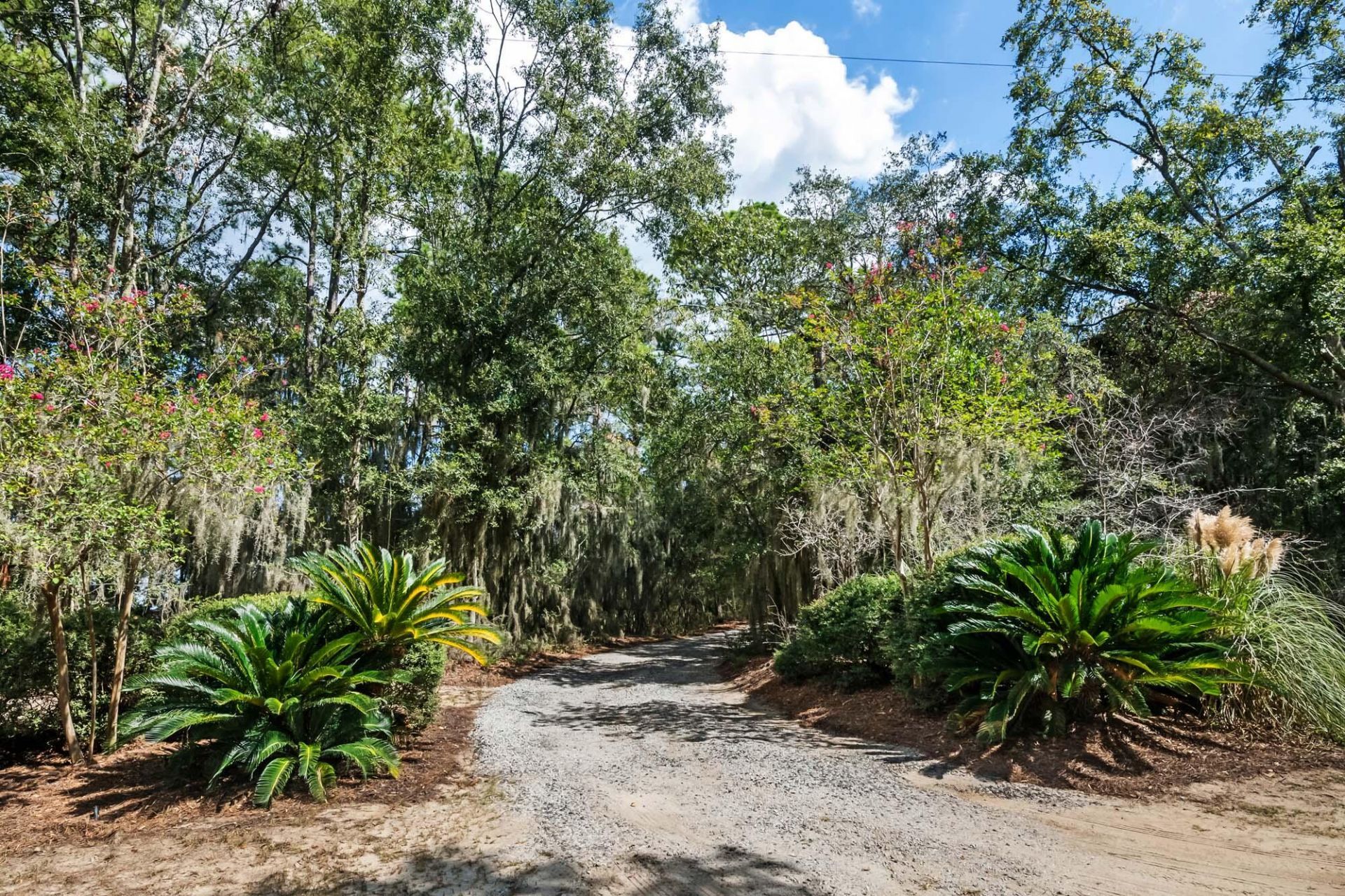 1310 Martins Point Road Photo 57