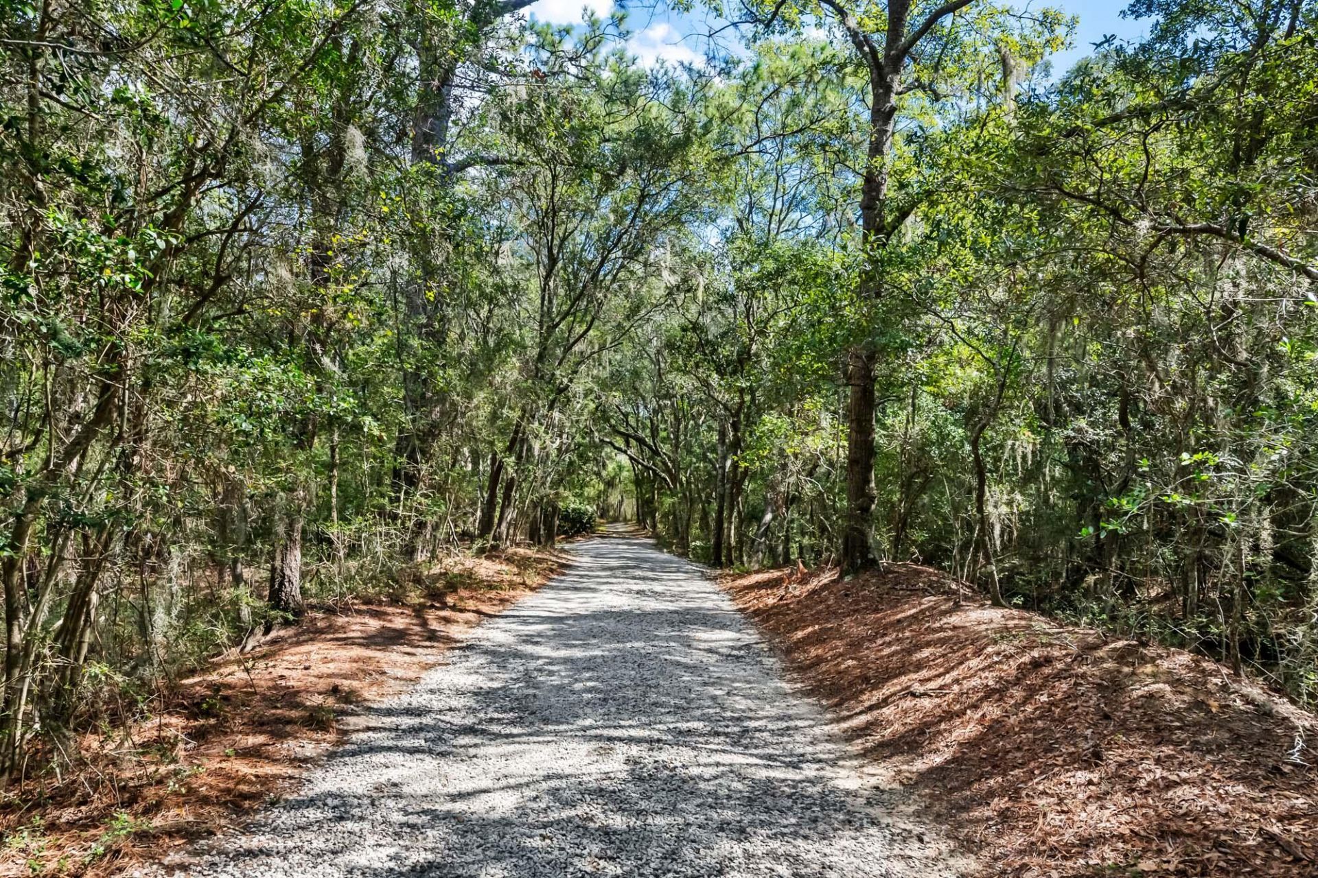 1310 Martins Point Road Photo 58