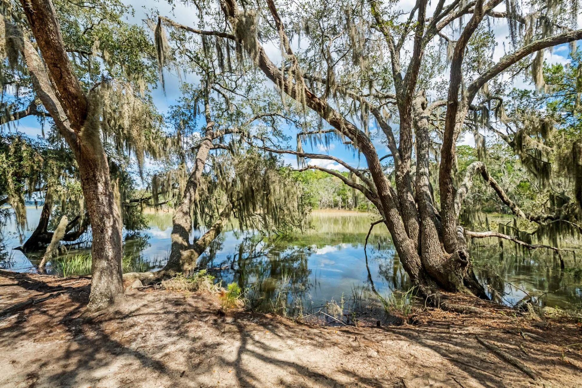 1310 Martins Point Road Photo 63