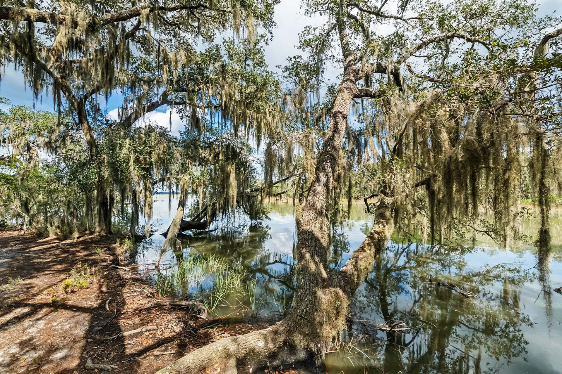 1310 Martins Point Road Photo 64