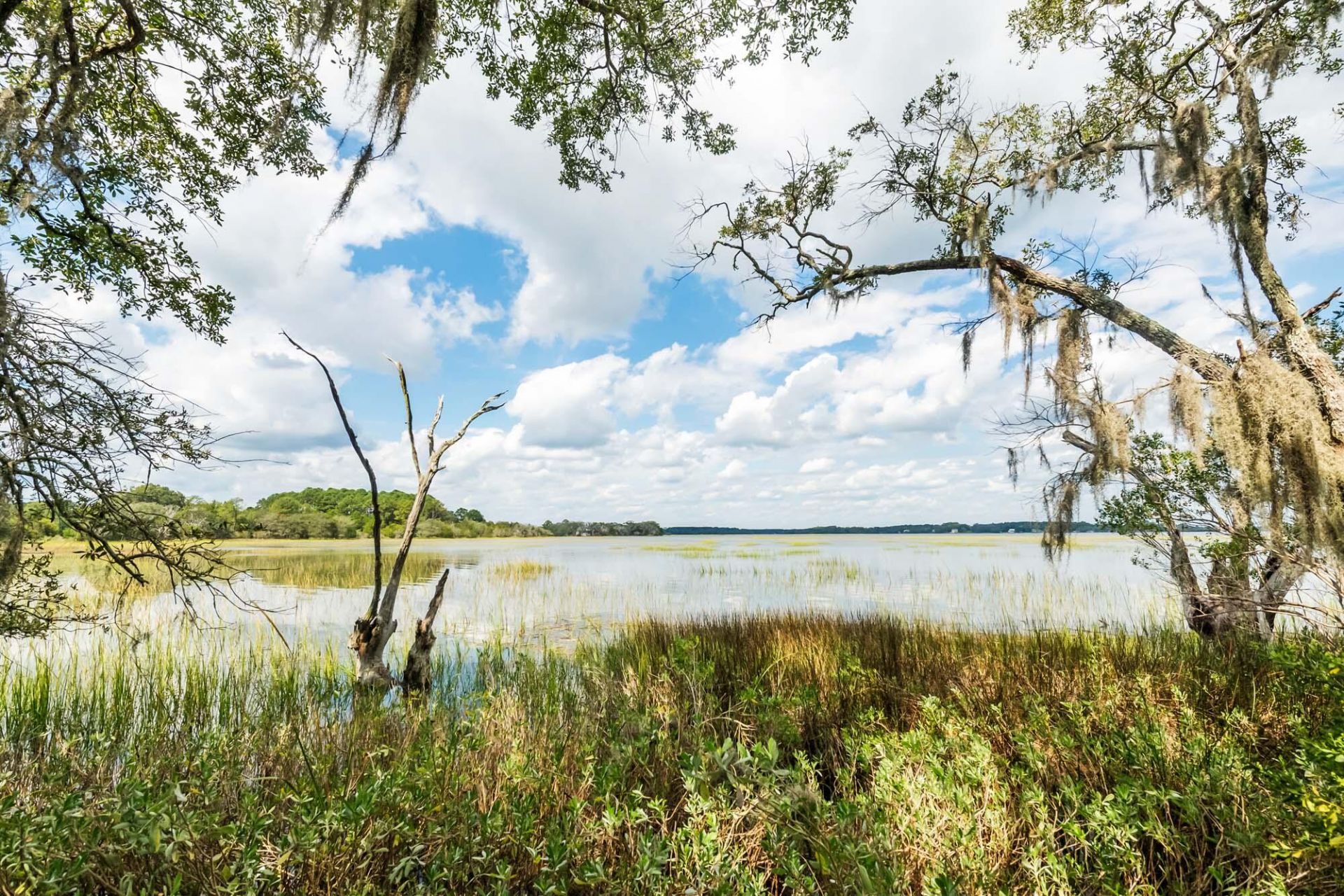 1310 Martins Point Road Photo 73