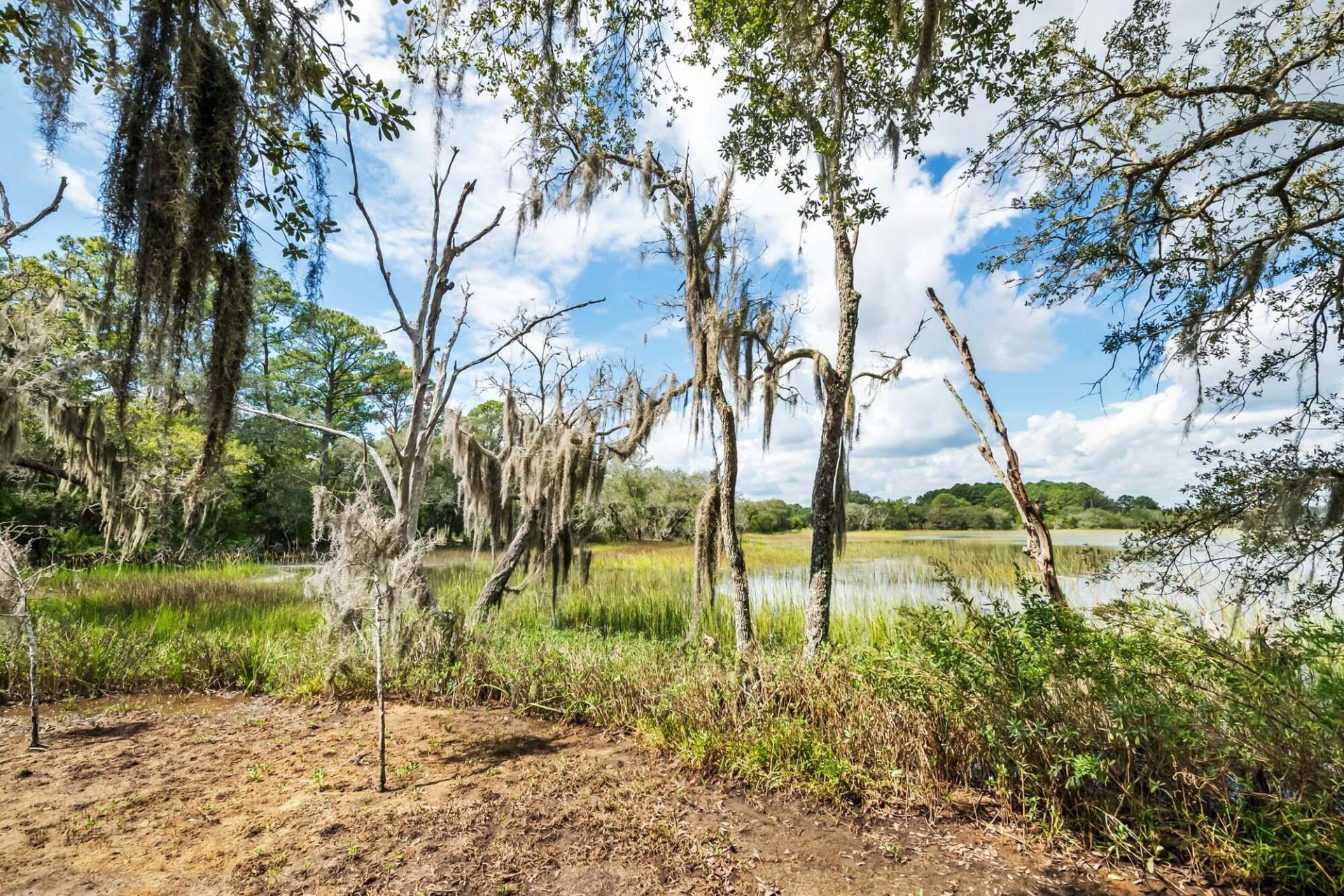 1310 Martins Point Road Photo 74