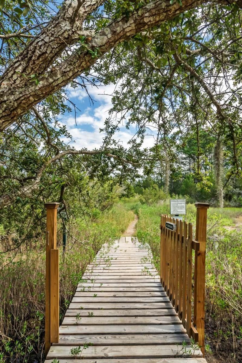 1310 Martins Point Road Photo 92
