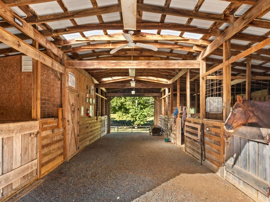 Property Image 64