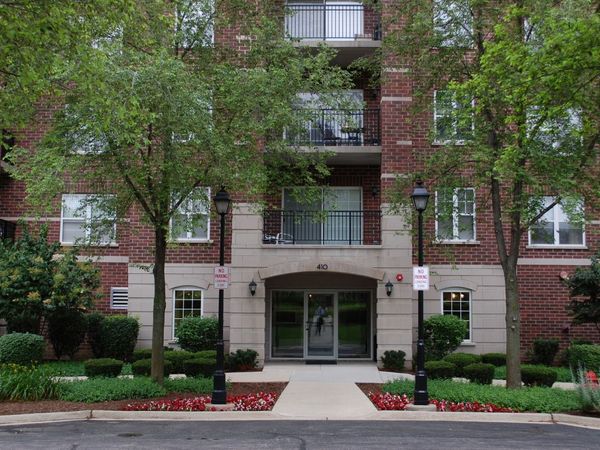 410 W Mahogany Court , Unit 503, Palatine, IL 60067