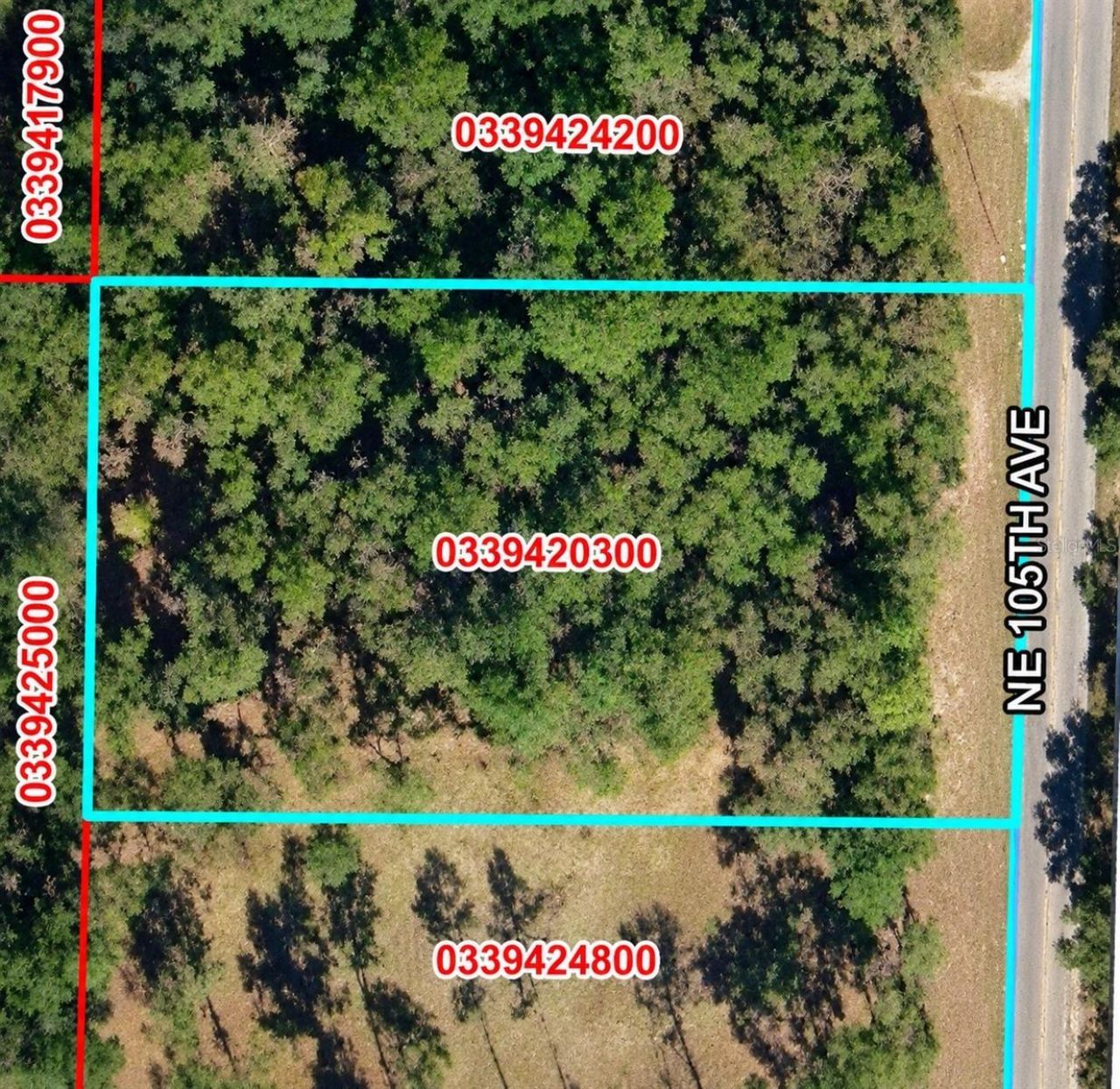 Ne 105th Avenue, Bronson, FL 32621 Main Photo