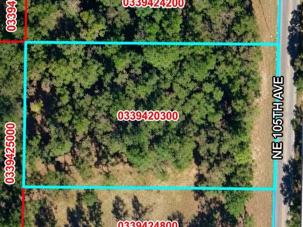 NE 105TH AVENUE , BRONSON, FL 32621