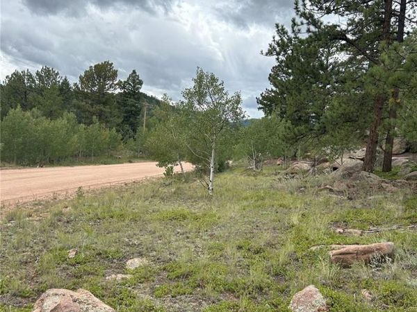 155 County Road 403, Florissant, CO 80816