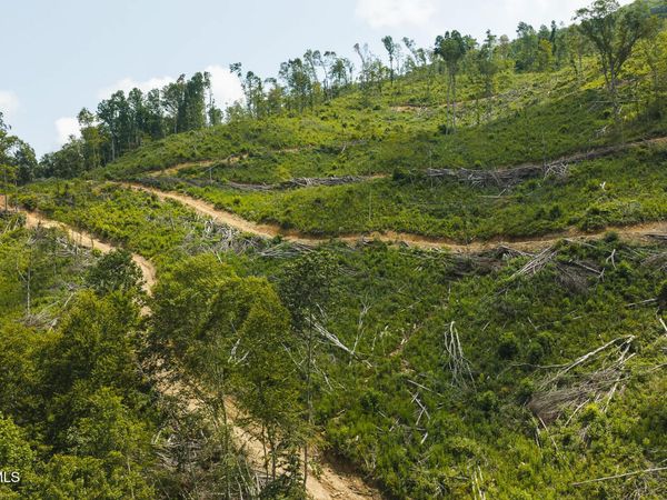Tbd Snake Hollow Road, Sneedville, TN 37869