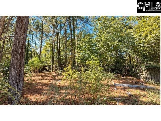 318 Water Hickory Way  Photo 17