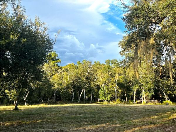 CANAL STREET , FANNING SPRINGS, FL 32693